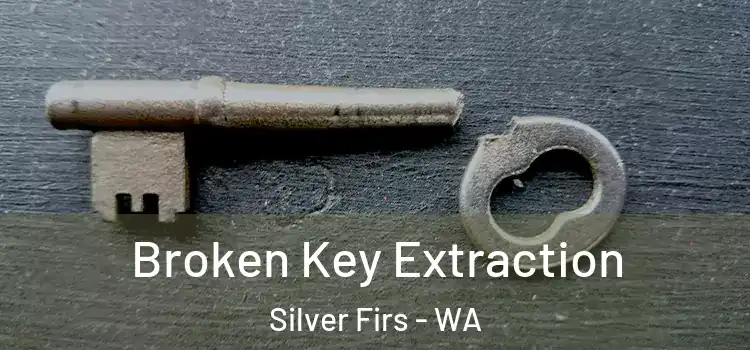 Broken Key Extraction Silver Firs - WA