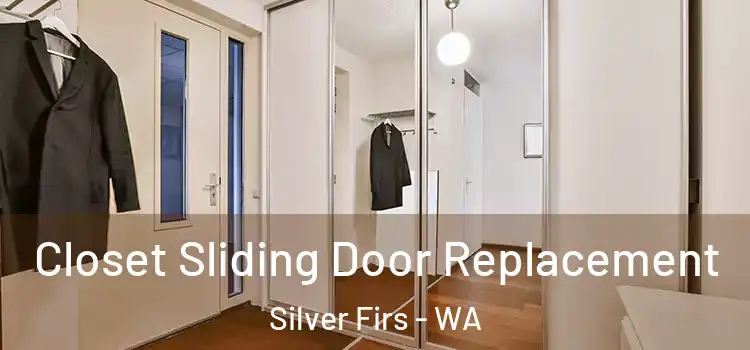  Closet Sliding Door Replacement Silver Firs - WA
