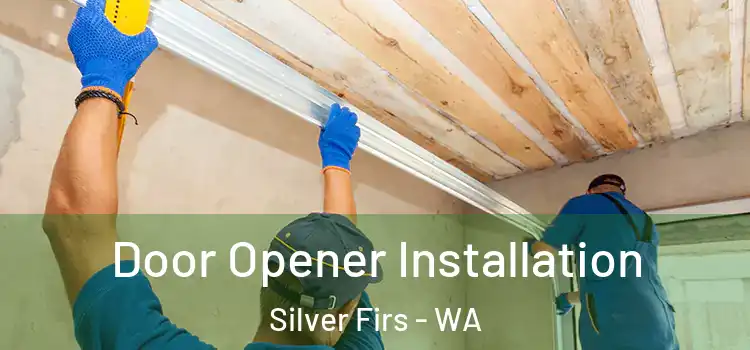Door Opener Installation Silver Firs - WA