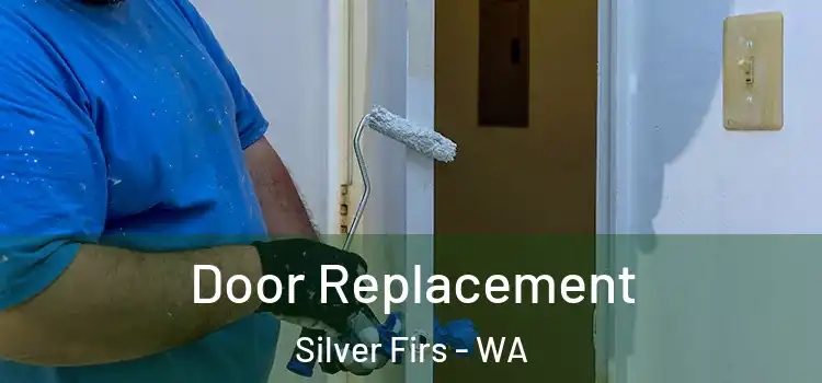 Door Replacement Silver Firs - WA