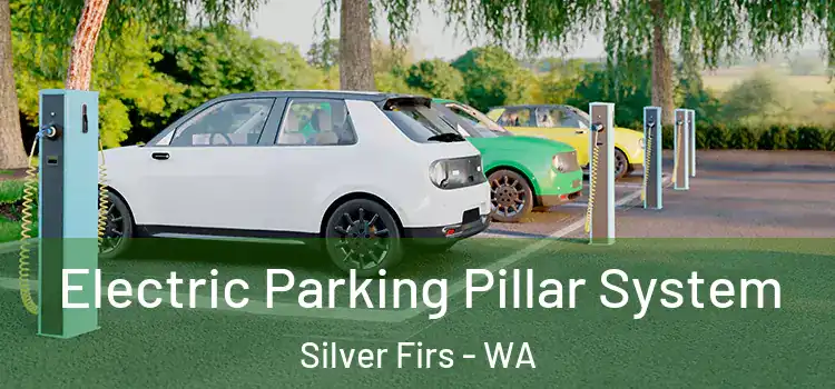 Electric Parking Pillar System Silver Firs - WA
