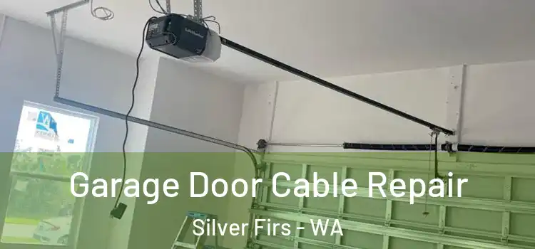  Garage Door Cable Repair Silver Firs - WA