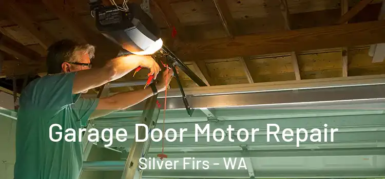  Garage Door Motor Repair Silver Firs - WA