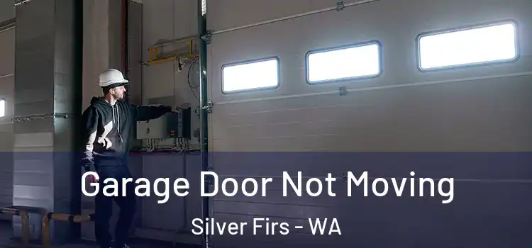  Garage Door Not Moving Silver Firs - WA