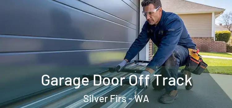  Garage Door Off Track Silver Firs - WA