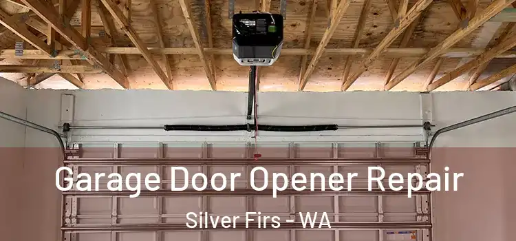  Garage Door Opener Repair Silver Firs - WA