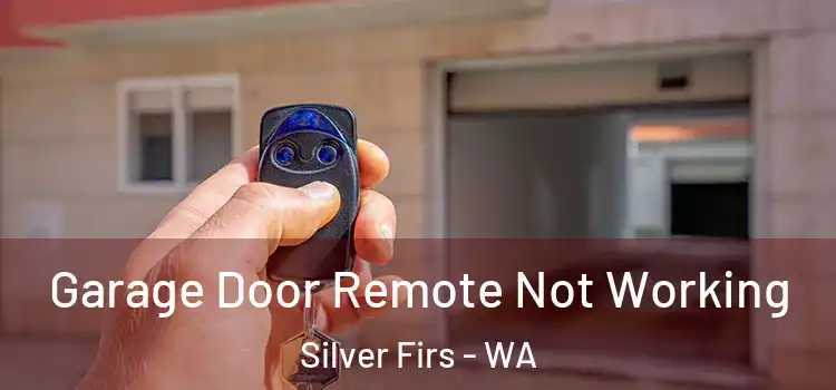  Garage Door Remote Not Working Silver Firs - WA