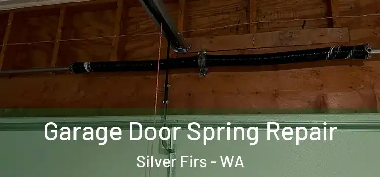  Garage Door Spring Repair Silver Firs - WA