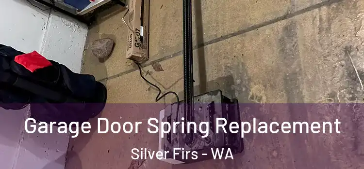  Garage Door Spring Replacement Silver Firs - WA