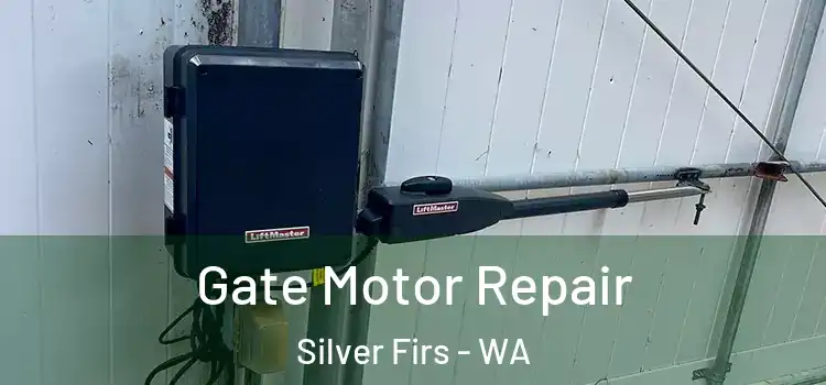 Gate Motor Repair Silver Firs - WA