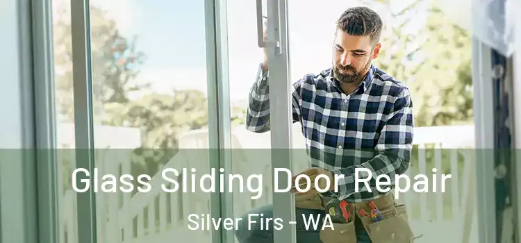  Glass Sliding Door Repair Silver Firs - WA