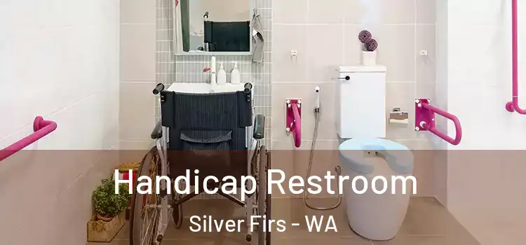  Handicap Restroom Silver Firs - WA
