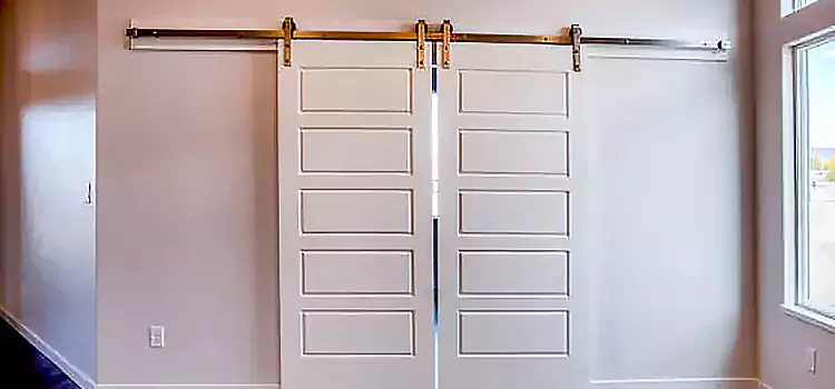 Glass Barn Door with Installation Hardware Kit Silver Firs