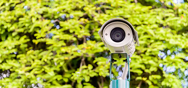 Advanced Surveillance Solutions for Every Need in Silver Firs