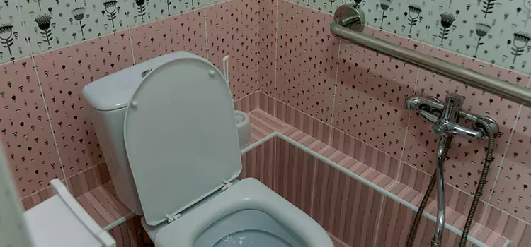 Meeting Diverse Needs With Accessible Restroom Solutions in Silver Firs, WA