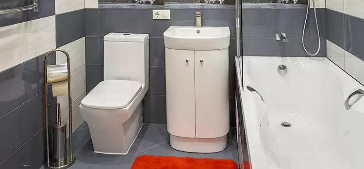 Hansgrohe Shaving Mirror Silver Firs