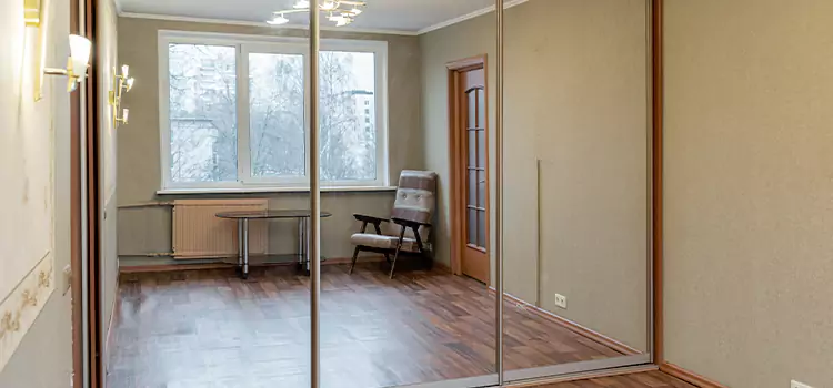 Mirror Closet Door Roller Replacement Silver Firs