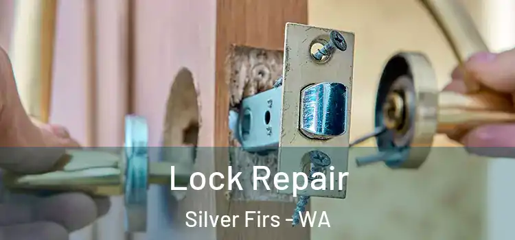  Lock Repair Silver Firs - WA