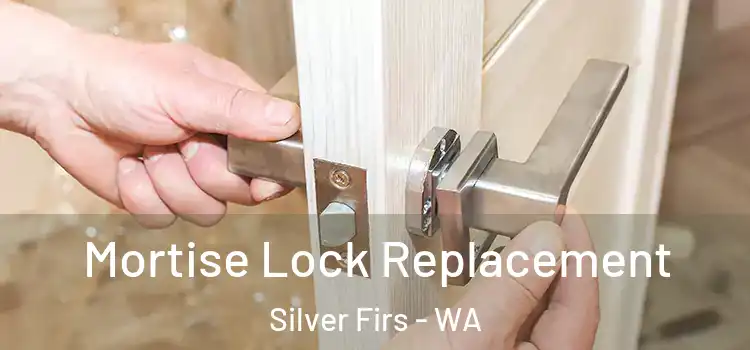  Mortise Lock Replacement Silver Firs - WA