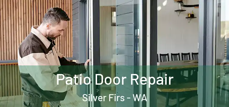 Patio Door Repair Silver Firs - WA
