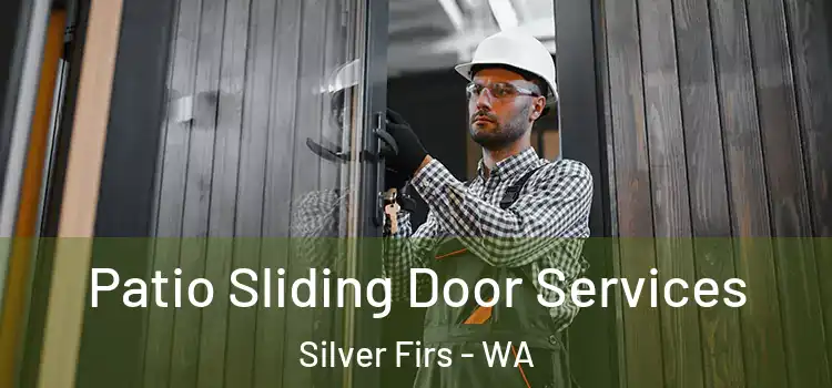 Patio Sliding Door Services Silver Firs - WA