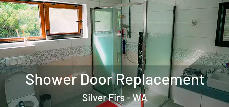  Shower Door Replacement Silver Firs - WA