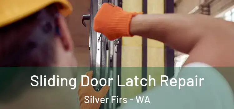  Sliding Door Latch Repair Silver Firs - WA