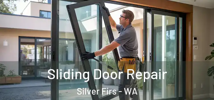  Sliding Door Repair Silver Firs - WA