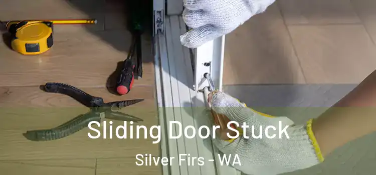  Sliding Door Stuck Silver Firs - WA
