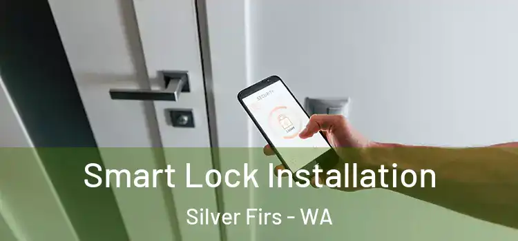 Smart Lock Installation Silver Firs - WA