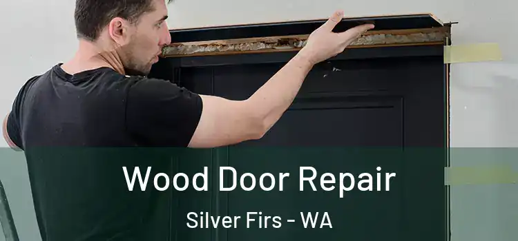  Wood Door Repair Silver Firs - WA